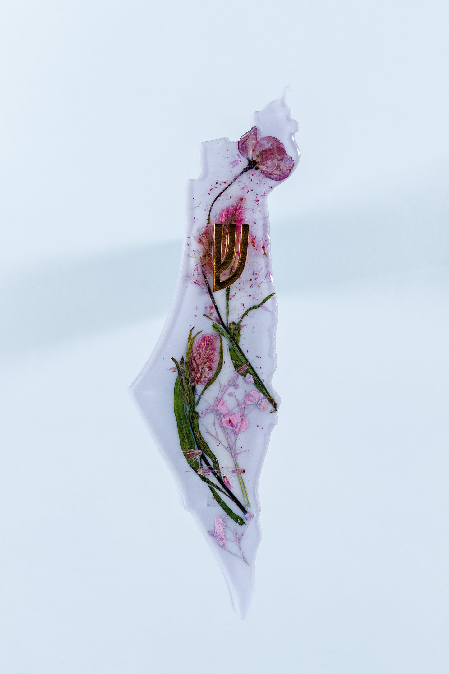 Pink Petals