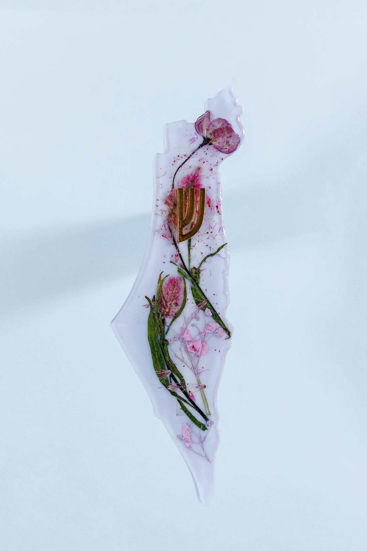 Pink Petals