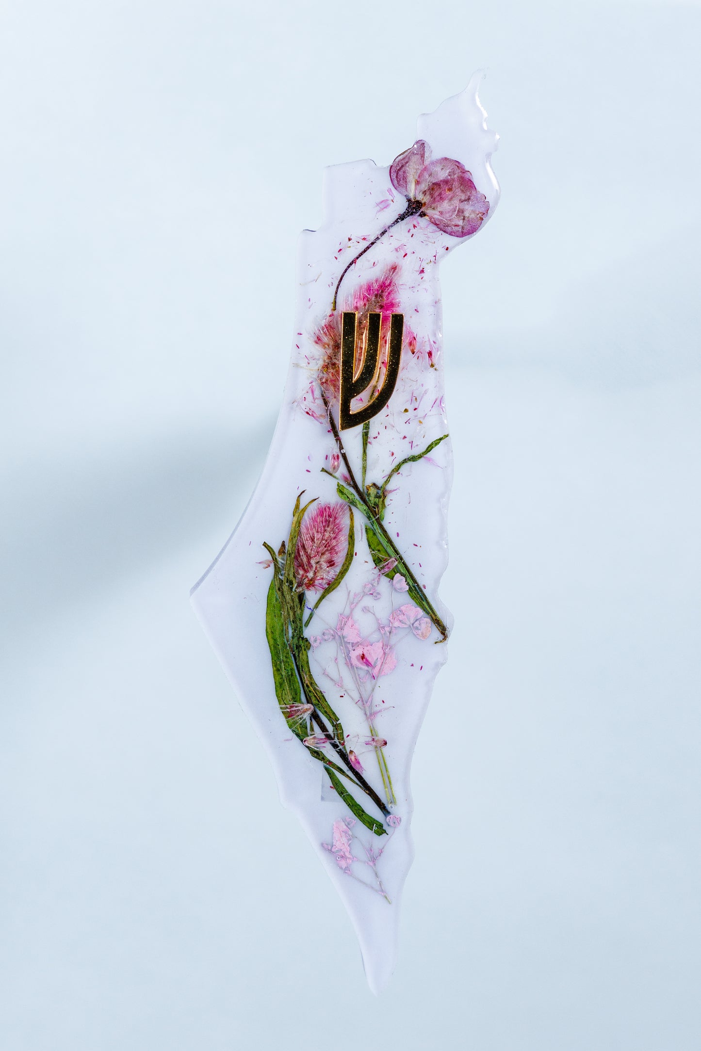Pink Petals