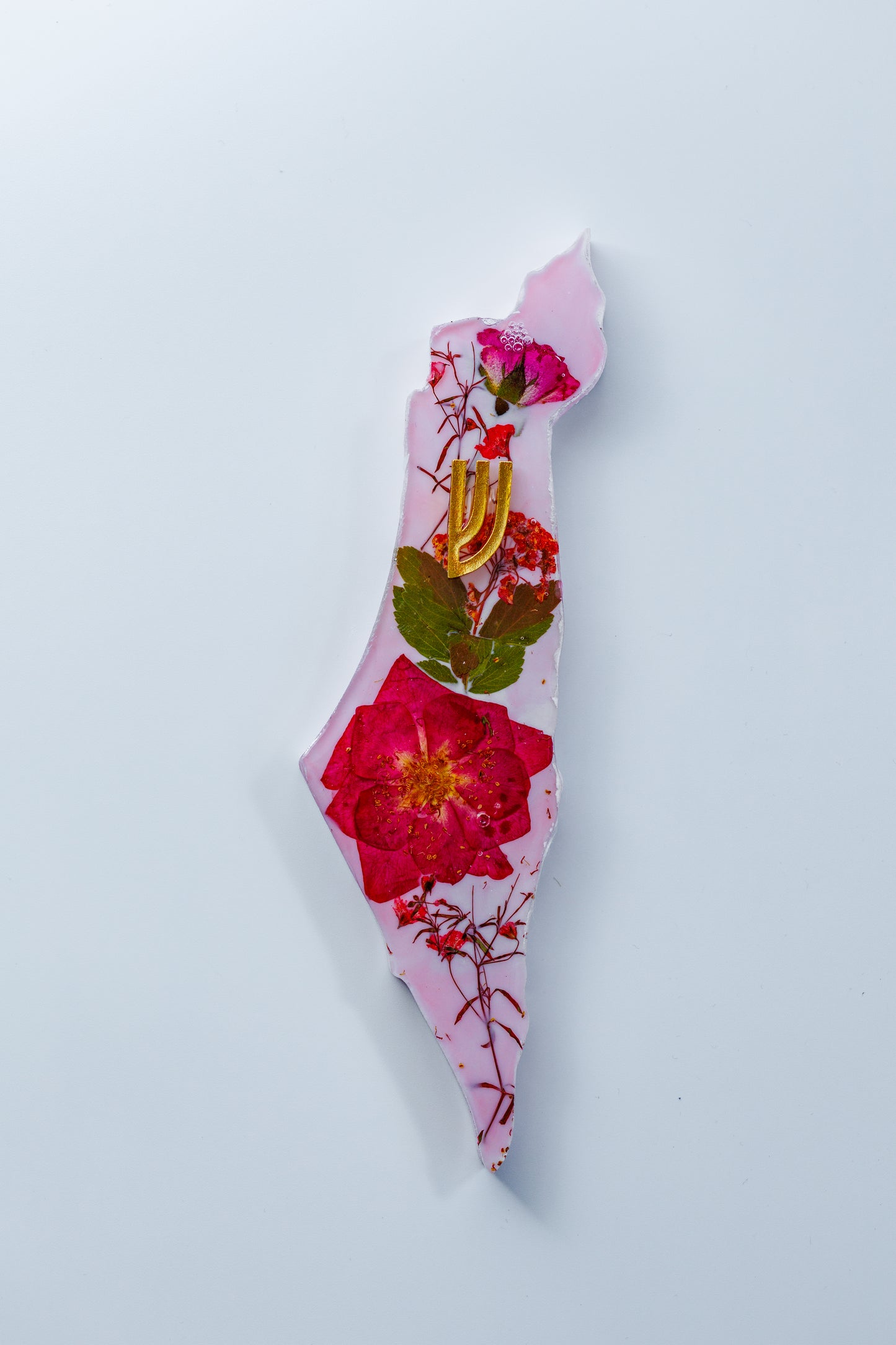 Harmony Bloom