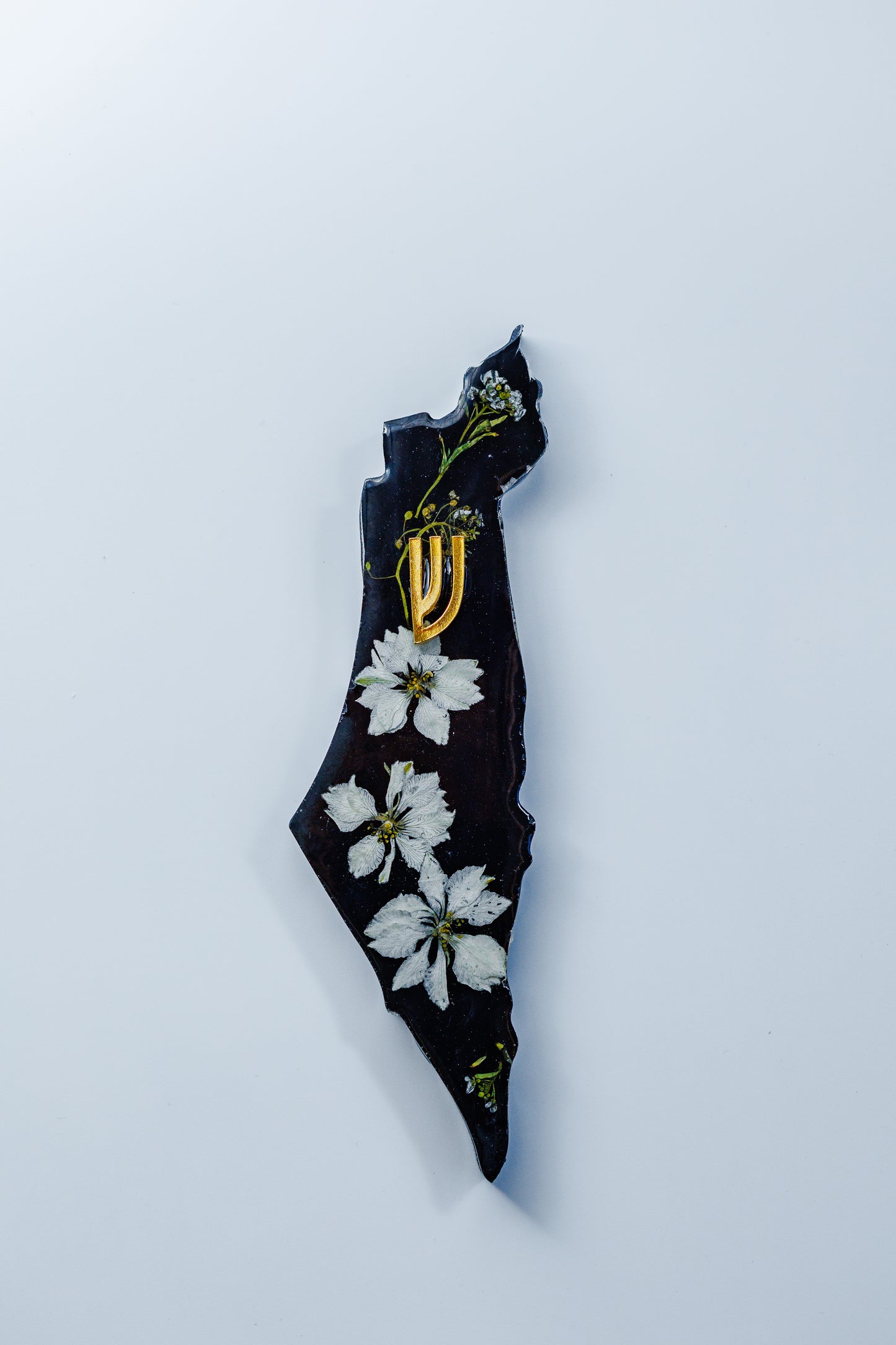 Petals After Dark