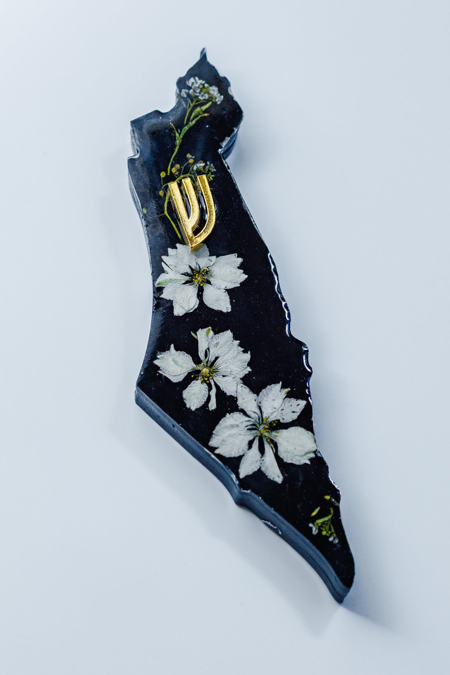 Petals After Dark