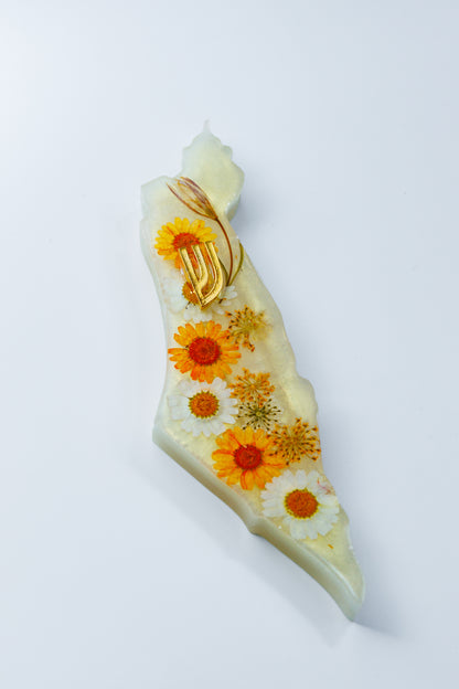Sunflower bloom